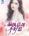 偏执总裁不好惹