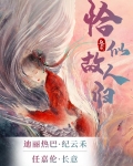 驭鲛记（恰似故人归原著）