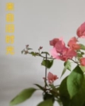 时光背面的我