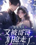 景爷，夫人又被哥哥们抢走了