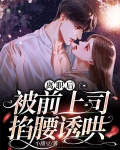 离职后，被前上司掐腰诱哄