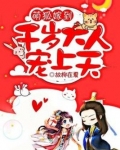 萌狐嫁到：千岁大人宠上天