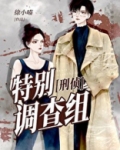特别调查组[刑侦]
