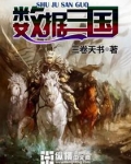 数据三国