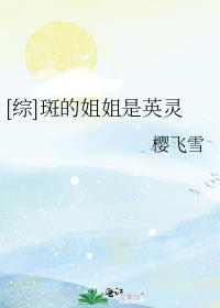 [综]斑的姐姐是英灵