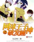 网球王子之破发睡神