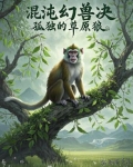 混沌幻兽决