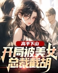 高手下山：开局被美女总裁截胡