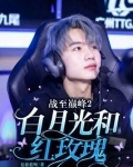战至巅峰2：白月光和红玫瑰