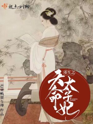 重生之天命太子妃