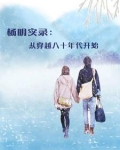 穿越80当明星