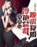 离婚后,冷艳总裁跪求复婚
