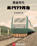 黄金年代从1977开始全金属弹壳