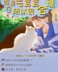 因为是毛茸茸，所以很合理