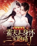 替嫁娇妻:霍夫人身怀三宝跑路了
