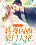 分手后,转身闪婚豪门大佬