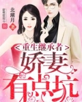重生继承者:娇妻有点坑