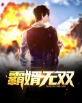 霸婿无双