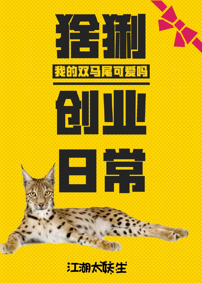 猞猁创业日常